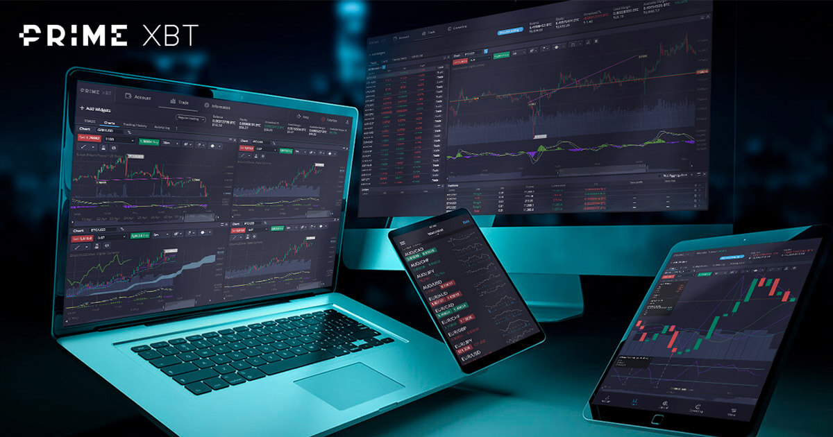 Discover the Power of PrimeXBT Trading Hub