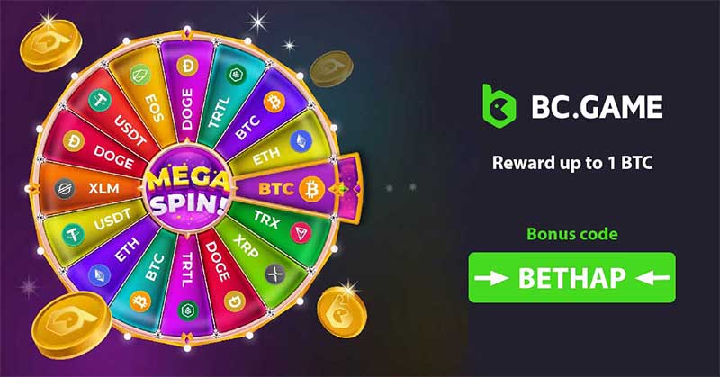 Exciting Adventures in BC Game Live Match Streaming