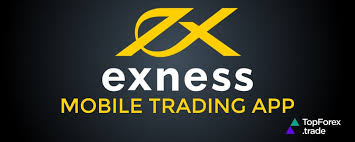 Maximize Your Experience with Exness Live Chat